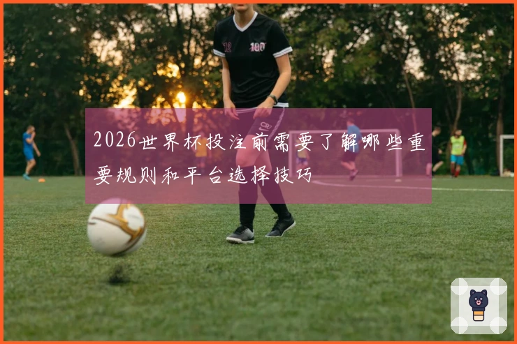 2026世界杯投注前需要了解哪些重要规则和平台选择技巧