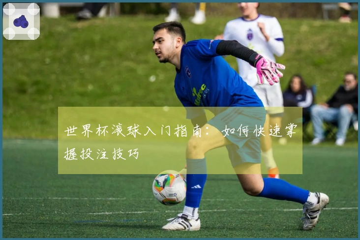 世界杯滚球入门指南：如何快速掌握投注技巧