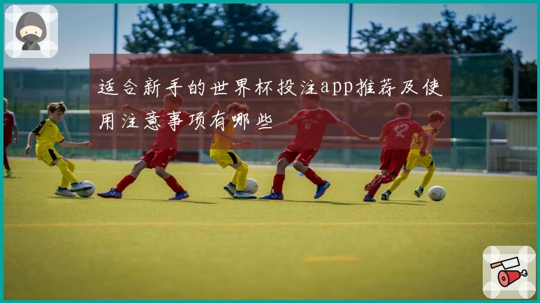 适合新手的世界杯投注app推荐及使用注意事项有哪些