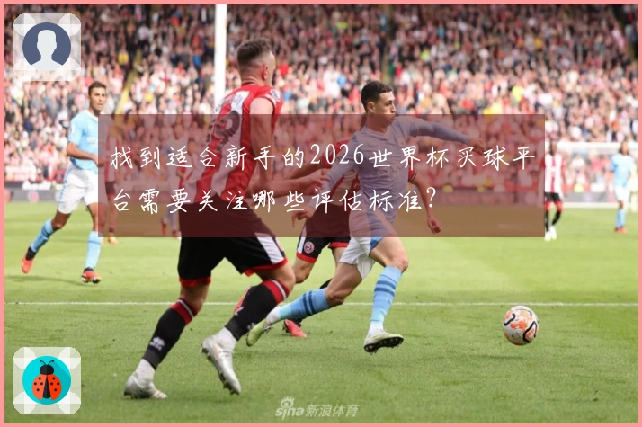 找到适合新手的2026世界杯买球平台需要关注哪些评估标准？