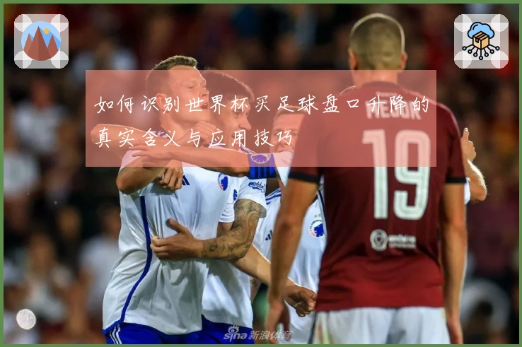 如何识别世界杯买足球盘口升降的真实含义与应用技巧