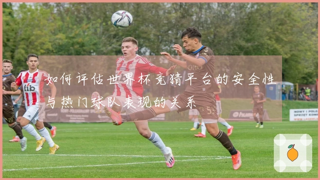 如何评估世界杯竞猜平台的安全性与热门球队表现的关系