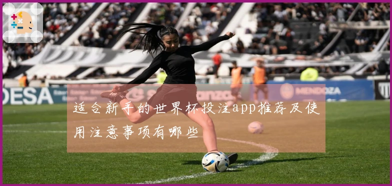 适合新手的世界杯投注app推荐及使用注意事项有哪些