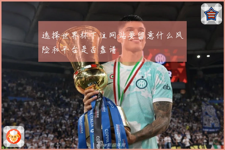 选择世界杯下注网站要留意什么风险和平台是否靠谱