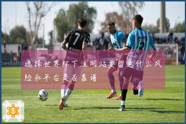 选择世界杯下注网站要留意什么风险和平台是否靠谱
