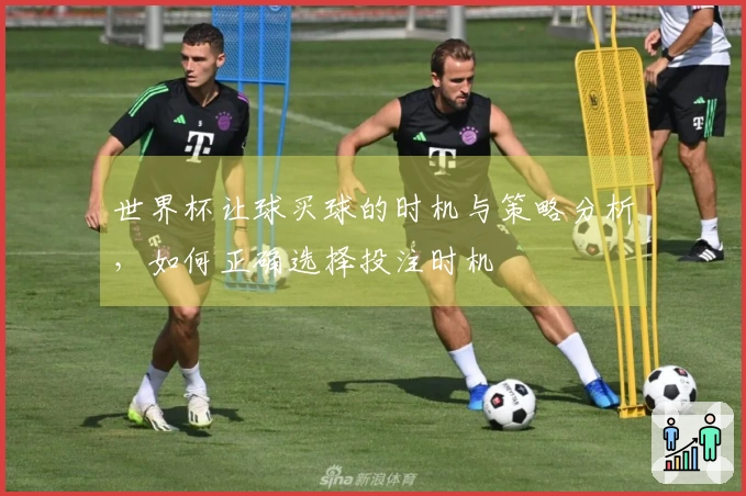 世界杯让球买球的时机与策略分析，如何正确选择投注时机